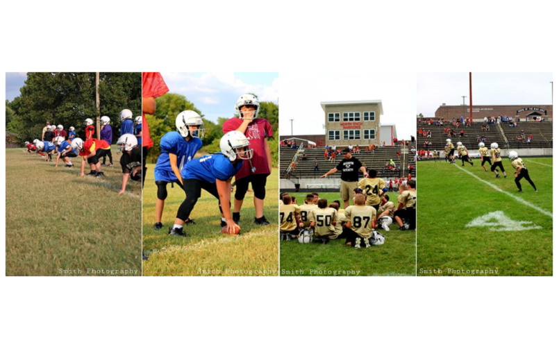Skills & Fundamentals