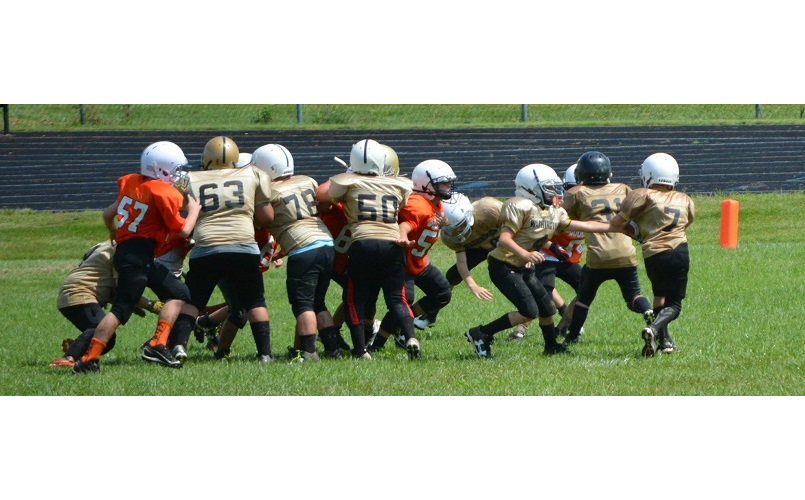 Learning to Play the Game